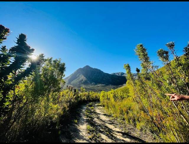 LAND FOR SALE IN TSITSIKAMMA